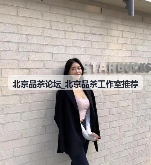 北京品茶论坛海淀中关村茶舍